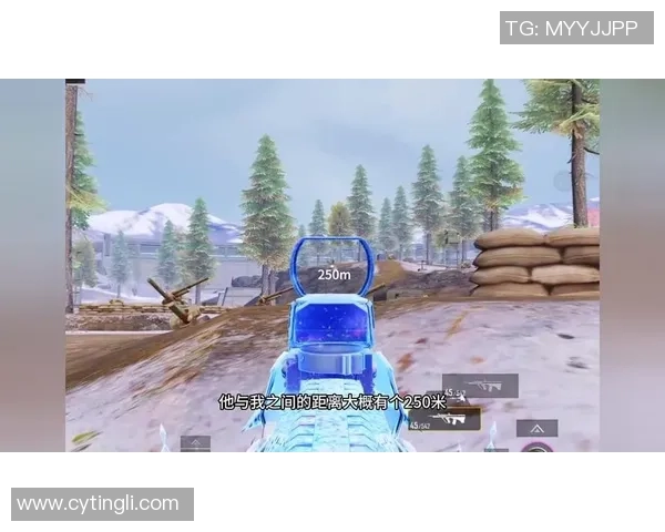 和平精英专题：聚焦WE的灵活性