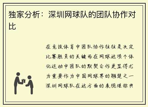 独家分析：深圳网球队的团队协作对比