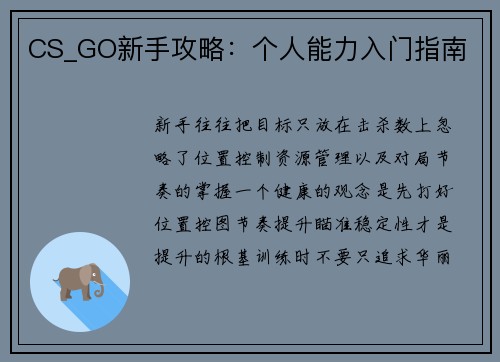 CS_GO新手攻略：个人能力入门指南