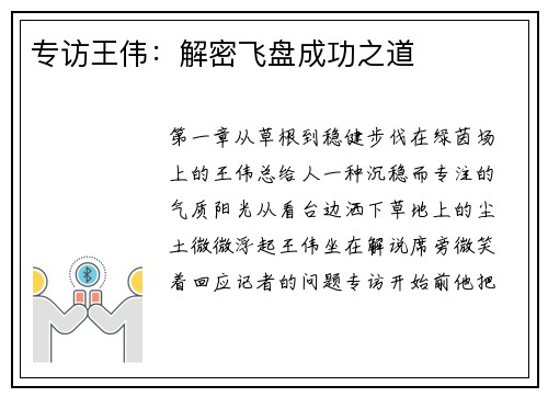 专访王伟：解密飞盘成功之道