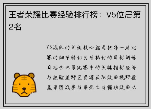 王者荣耀比赛经验排行榜：V5位居第2名
